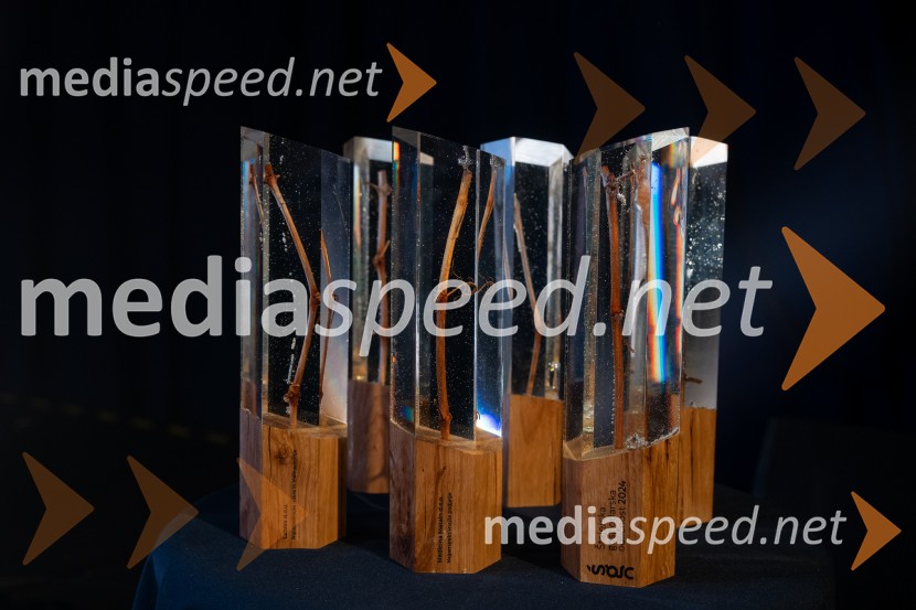 Štajerska gospodarska odličnost 2025