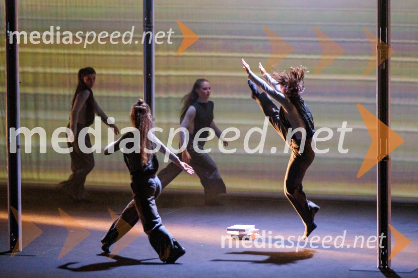 Državna proslava ob dnevu reformacije 2025, Cankarjev dom