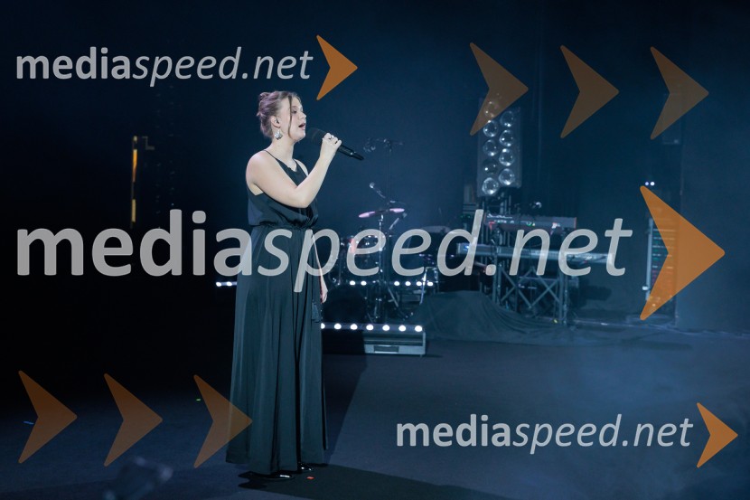 Državna proslava ob dnevu reformacije 2025, Cankarjev dom