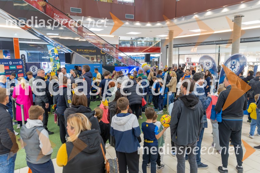Meet & Greet z Grofi v City centru Celje