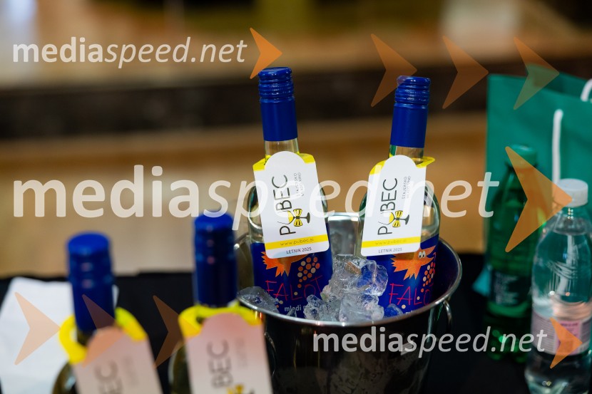 Salon štajerskih mladih vin Pubec 2025 v Ljubljani