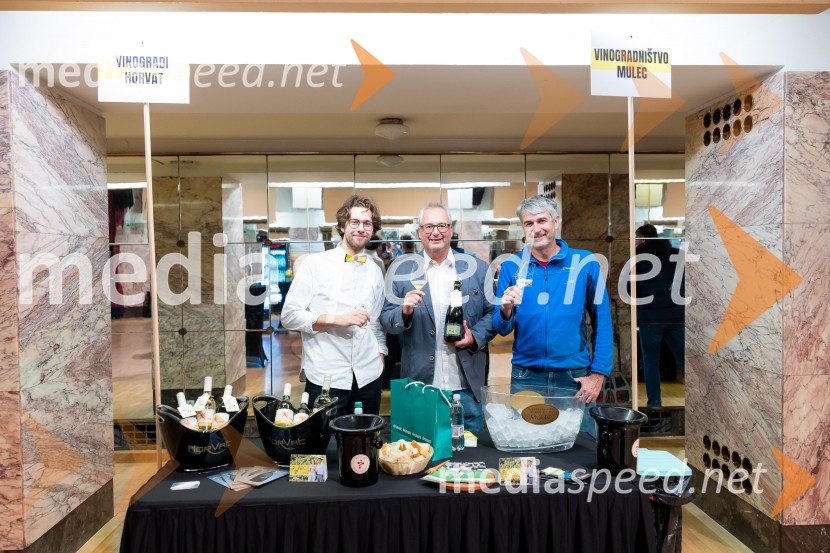 Salon štajerskih mladih vin Pubec 2025 v Ljubljani