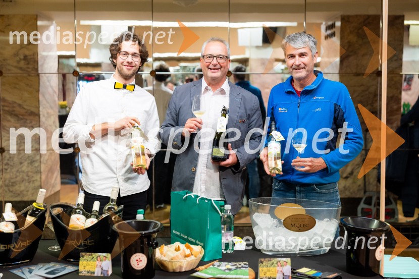 Salon štajerskih mladih vin Pubec 2025 v Ljubljani