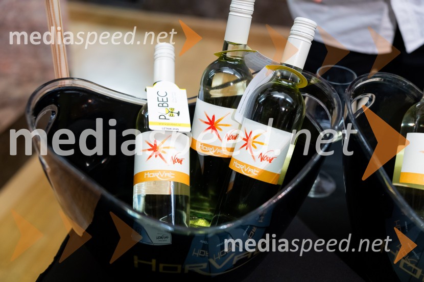 Salon štajerskih mladih vin Pubec 2025 v Ljubljani