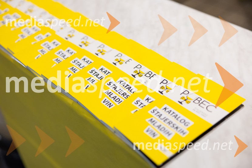 Salon štajerskih mladih vin Pubec 2025 v Ljubljani