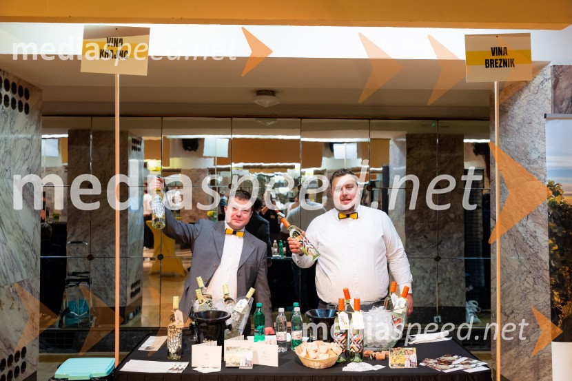 Salon štajerskih mladih vin Pubec 2025 v Ljubljani