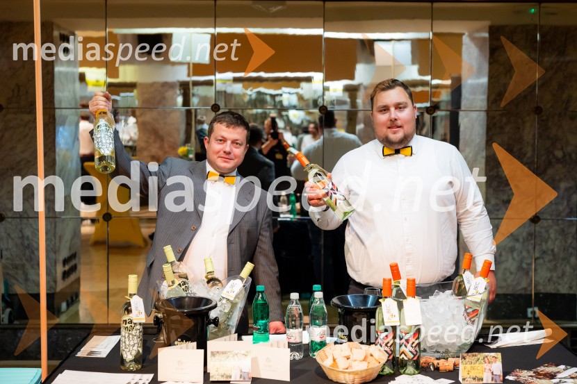 Salon štajerskih mladih vin Pubec 2025 v Ljubljani