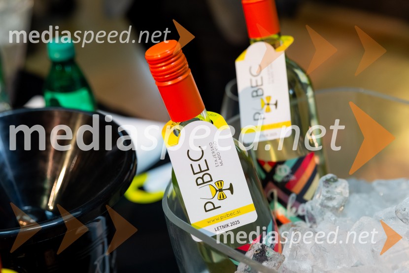 Salon štajerskih mladih vin Pubec 2025 v Ljubljani