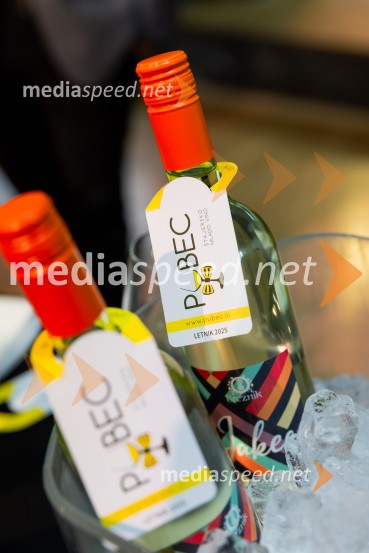 Salon štajerskih mladih vin Pubec 2025 v Ljubljani