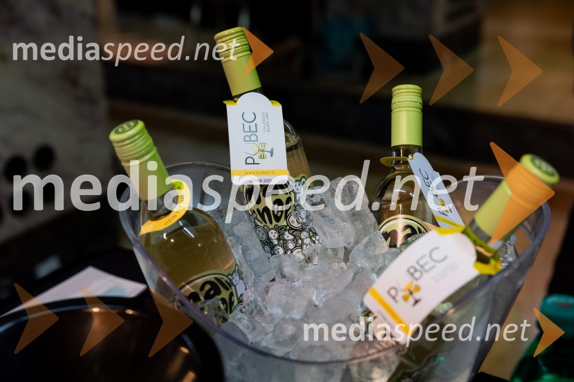Salon štajerskih mladih vin Pubec 2025 v Ljubljani