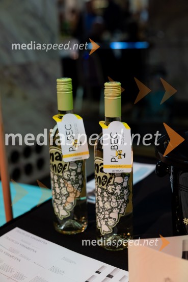 Salon štajerskih mladih vin Pubec 2025 v Ljubljani