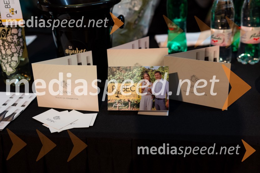 Salon štajerskih mladih vin Pubec 2025 v Ljubljani