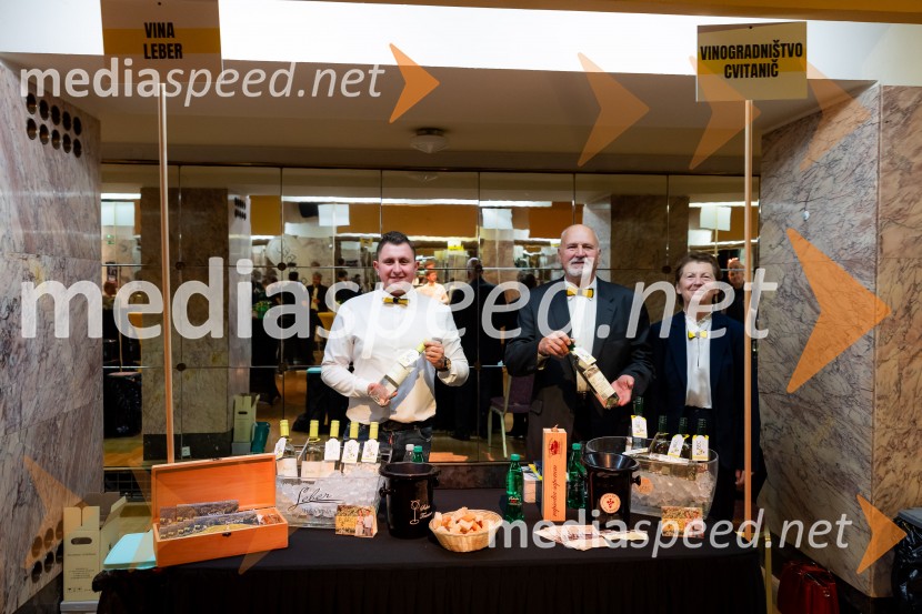 Salon štajerskih mladih vin Pubec 2025 v Ljubljani