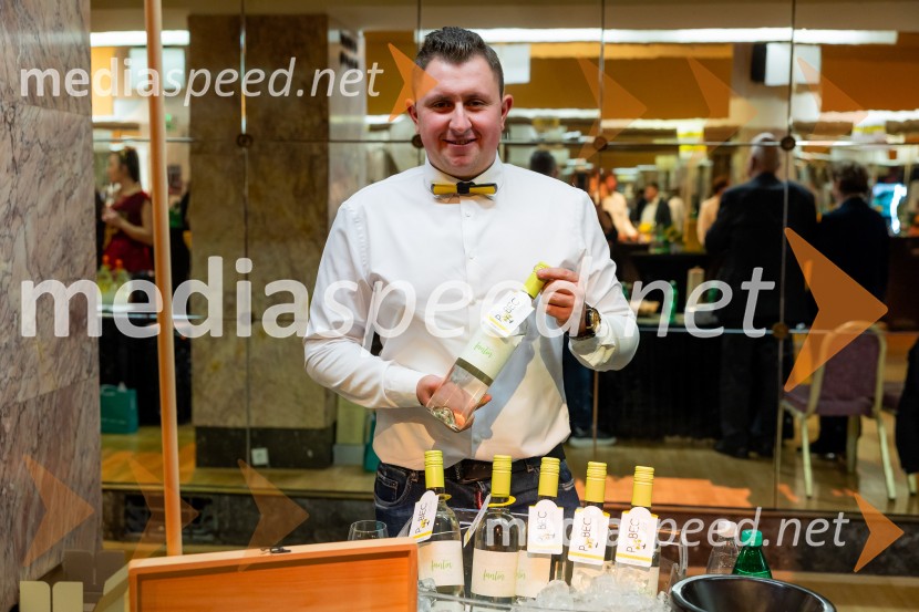 Salon štajerskih mladih vin Pubec 2025 v Ljubljani