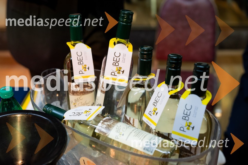 Salon štajerskih mladih vin Pubec 2025 v Ljubljani