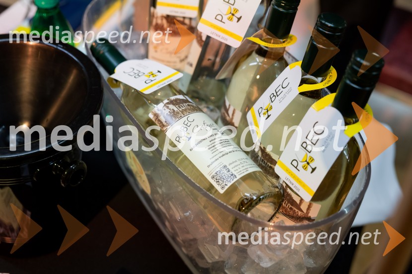 Salon štajerskih mladih vin Pubec 2025 v Ljubljani