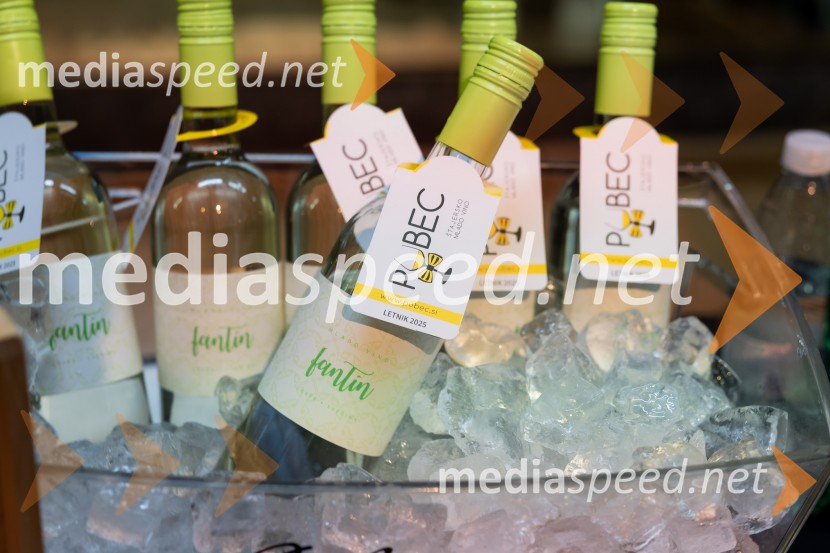 Salon štajerskih mladih vin Pubec 2025 v Ljubljani