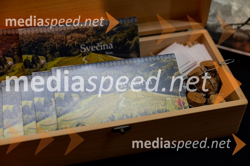 Salon štajerskih mladih vin Pubec 2025 v Ljubljani