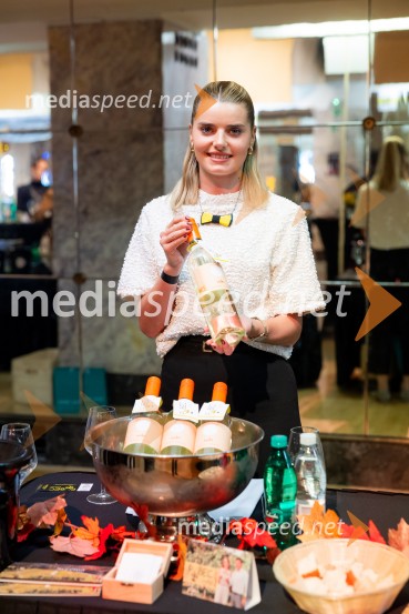 Salon štajerskih mladih vin Pubec 2025 v Ljubljani