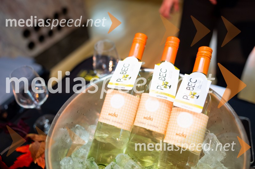 Salon štajerskih mladih vin Pubec 2025 v Ljubljani