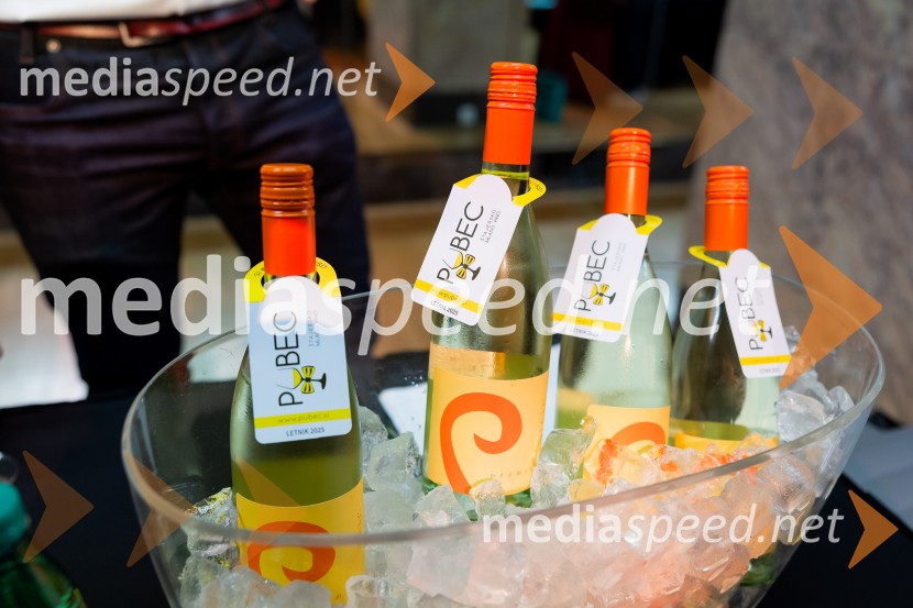 Salon štajerskih mladih vin Pubec 2025 v Ljubljani