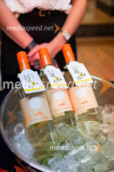 Salon štajerskih mladih vin Pubec 2025 v Ljubljani