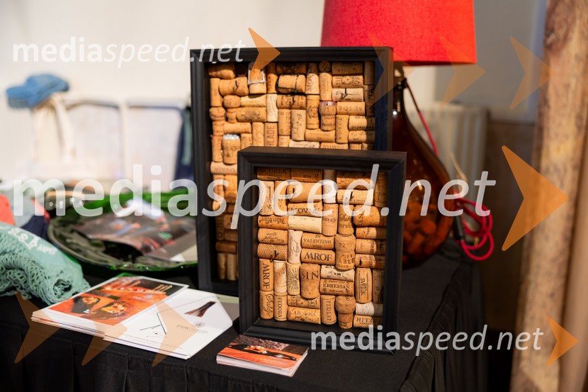 Salon štajerskih mladih vin Pubec 2025 v Ljubljani