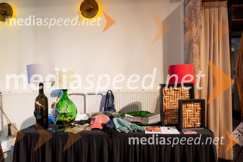 Salon štajerskih mladih vin Pubec 2025 v Ljubljani