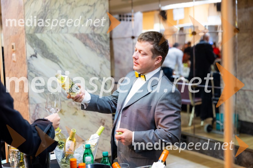 Salon štajerskih mladih vin Pubec 2025 v Ljubljani