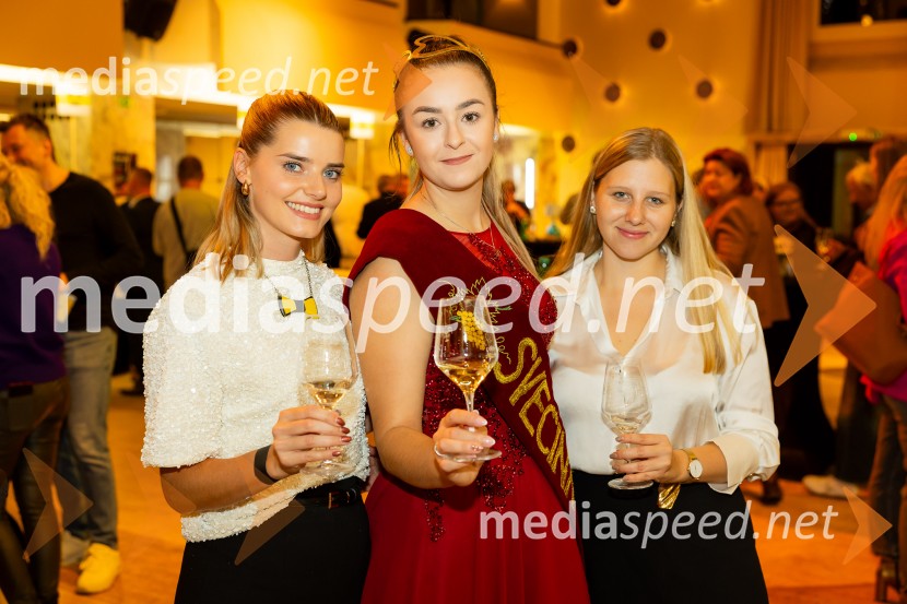 Salon štajerskih mladih vin Pubec 2025 v Ljubljani