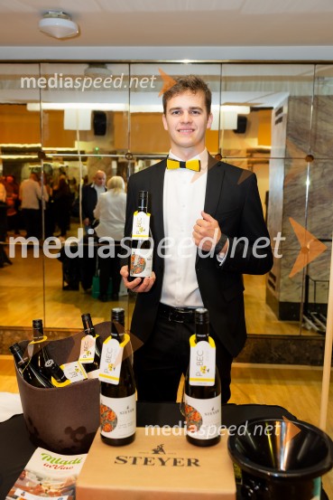 Salon štajerskih mladih vin Pubec 2025 v Ljubljani