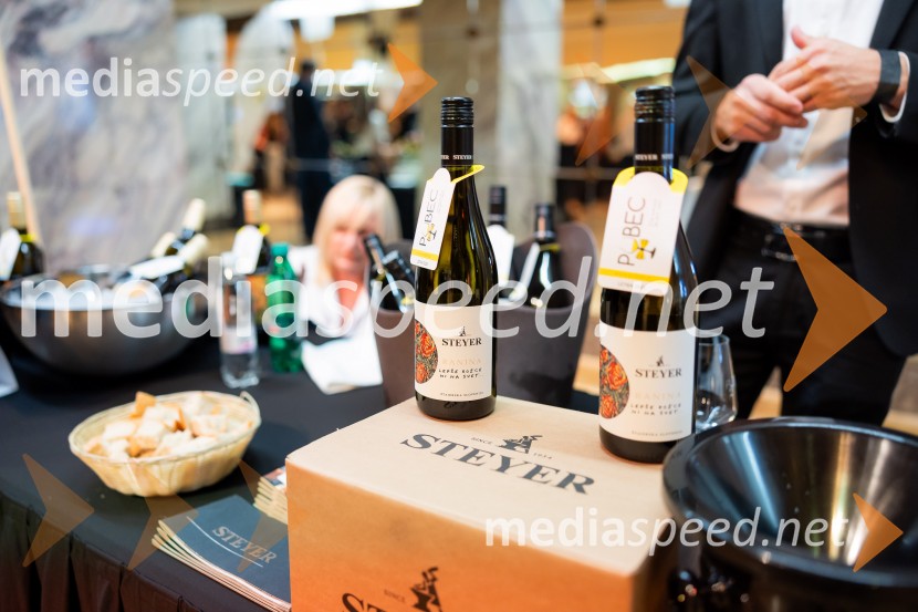 Salon štajerskih mladih vin Pubec 2025 v Ljubljani
