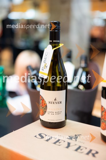 Salon štajerskih mladih vin Pubec 2025 v Ljubljani