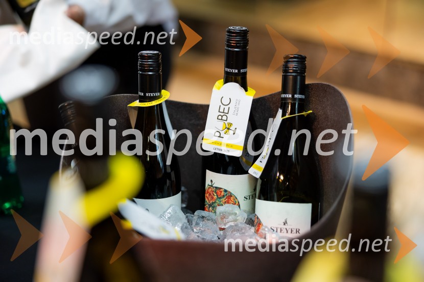 Salon štajerskih mladih vin Pubec 2025 v Ljubljani