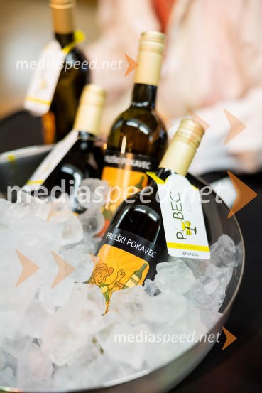 Salon štajerskih mladih vin Pubec 2025 v Ljubljani