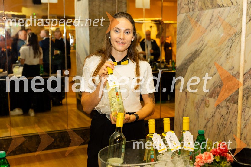 Salon štajerskih mladih vin Pubec 2025 v Ljubljani