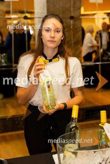 Salon štajerskih mladih vin Pubec 2025 v Ljubljani