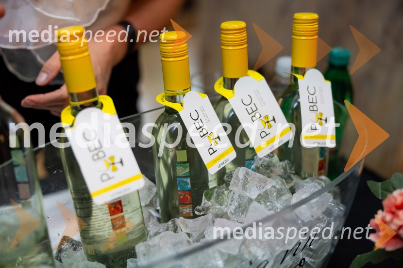 Salon štajerskih mladih vin Pubec 2025 v Ljubljani