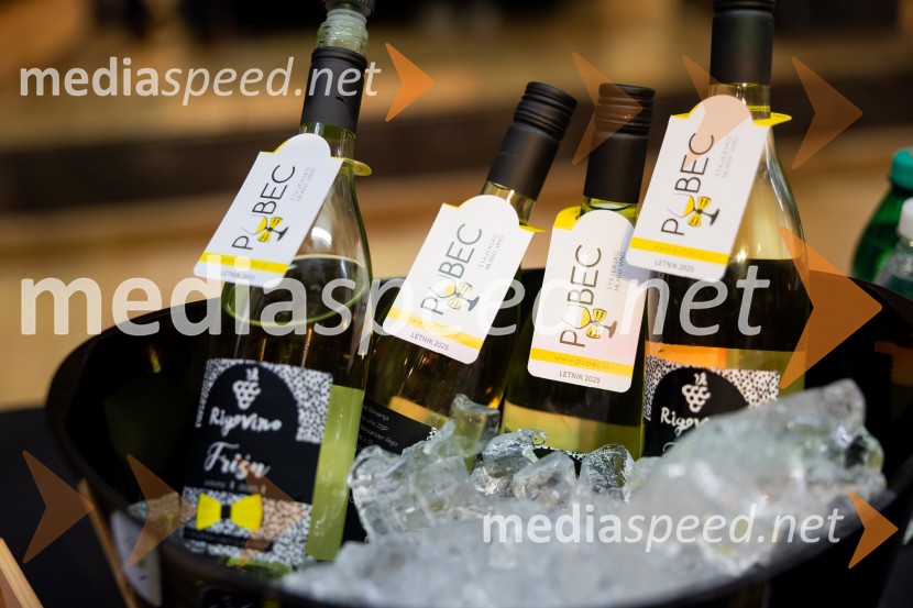Salon štajerskih mladih vin Pubec 2025 v Ljubljani