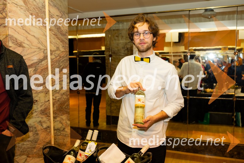 Salon štajerskih mladih vin Pubec 2025 v Ljubljani
