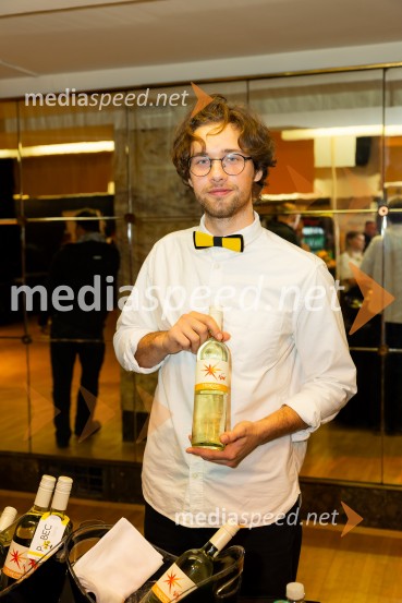 Salon štajerskih mladih vin Pubec 2025 v Ljubljani