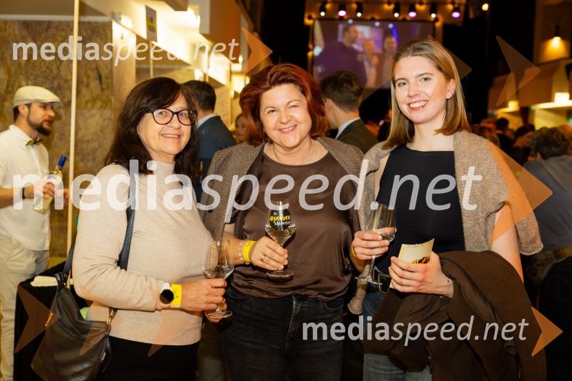 Salon štajerskih mladih vin Pubec 2025 v Ljubljani