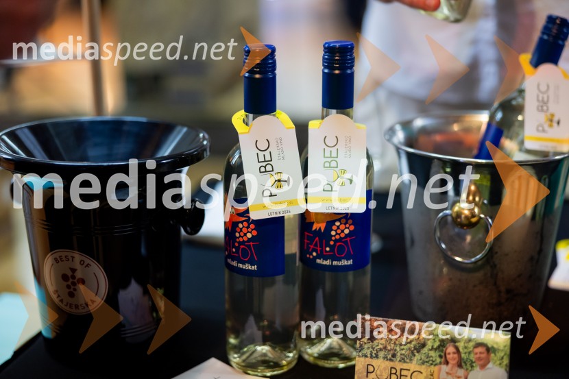 Salon štajerskih mladih vin Pubec 2025 v Ljubljani