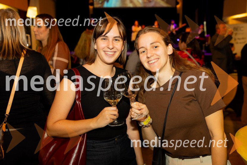 Salon štajerskih mladih vin Pubec 2025 v Ljubljani