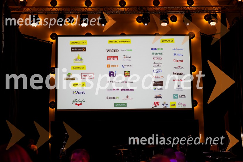 Salon štajerskih mladih vin Pubec 2025 v Ljubljani