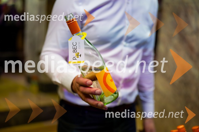 Salon štajerskih mladih vin Pubec 2025 v Ljubljani