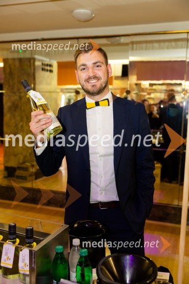 Salon štajerskih mladih vin Pubec 2025 v Ljubljani