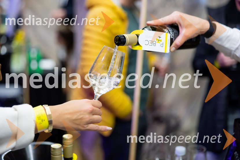 Salon štajerskih mladih vin Pubec 2025 v Ljubljani