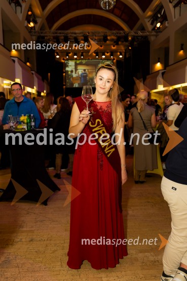 Salon štajerskih mladih vin Pubec 2025 v Ljubljani