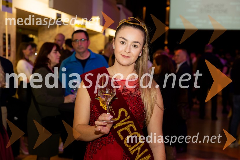 Salon štajerskih mladih vin Pubec 2025 v Ljubljani